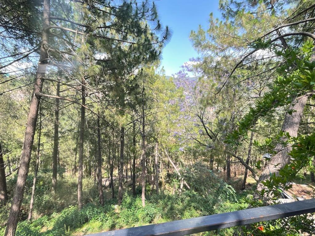 Sunrise Cottage Dagshai Εξωτερικό φωτογραφία