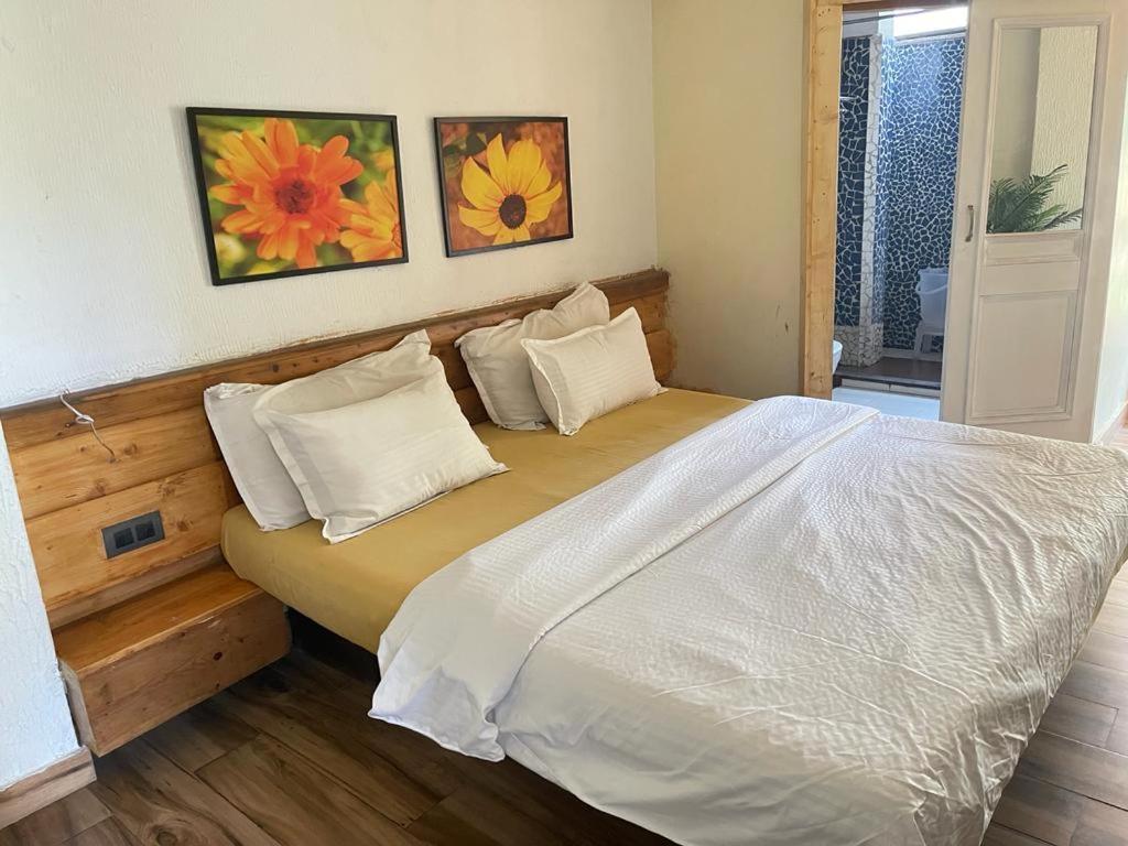 Sunrise Cottage Dagshai Εξωτερικό φωτογραφία